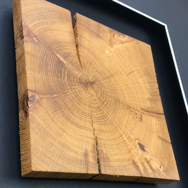 Quadratwerk Massivholz Eiche Inlay – Noble Wood Wandbild mit natürlicher Jahresring-Maserung