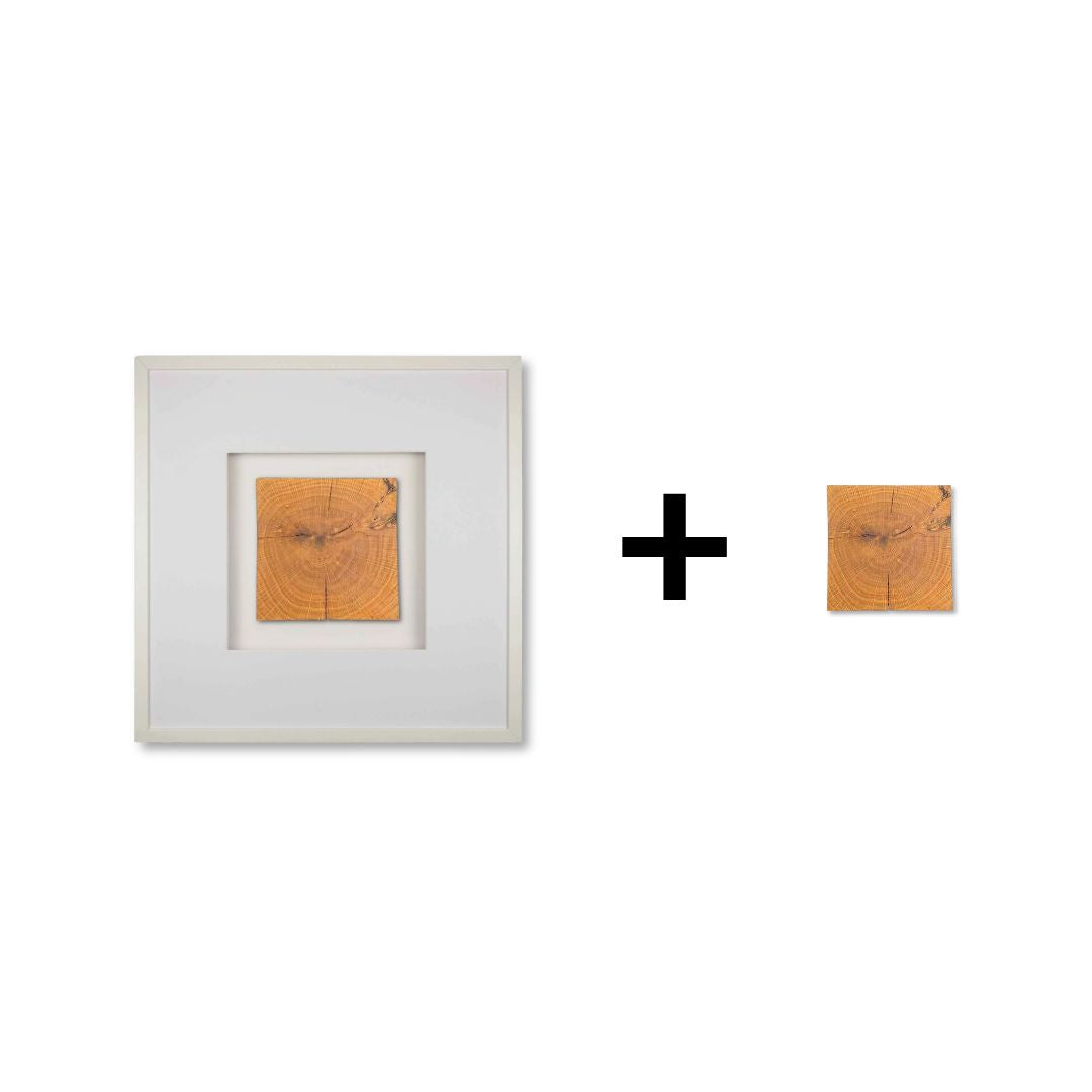 Quadratwerk Upgrade Edition 58 Bundle – Rahmen 58cm weiß + Noble Wood Eiche Inlay, großes Wandbild Set handgefertigt Made in Germany