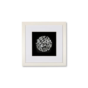 Quadratwerk Wandbild Magic Silver Rund 27cm - Rahmen Weiß, Hintergrund Schwarz, Passepartout Weiß/Weiß