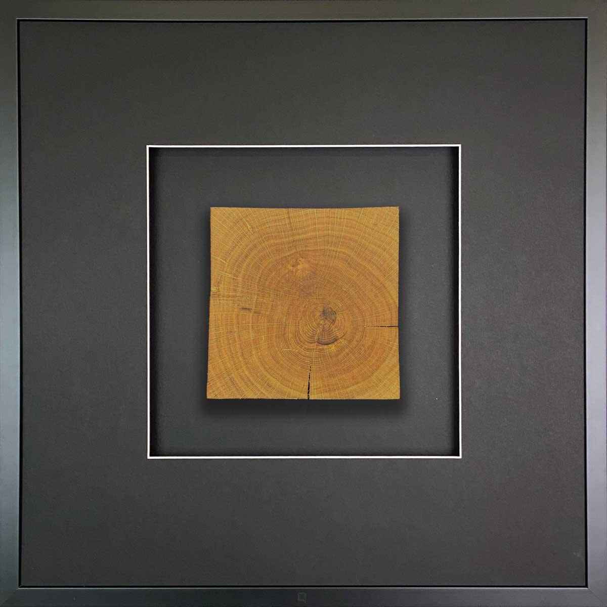 Quadratwerk Wandbild Noble Wood Quadrat 58cm - Rahmen Schwarz, Hintergrund Schwarz, Passepartout Schwarz/Weiß