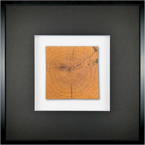 Quadratwerk Wandbild Noble Wood Quadrat 58cm - Rahmen Schwarz, Hintergrund Weiß, Passepartout Schwarz/Weiß