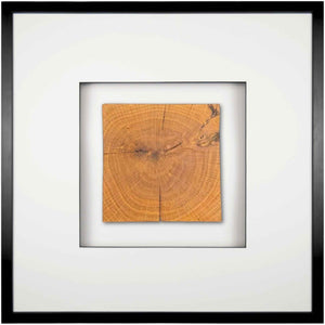 Quadratwerk Wandbild Noble Wood Quadrat 58cm - Rahmen Schwarz, Hintergrund Weiß, Passepartout Weiß/Schwarz