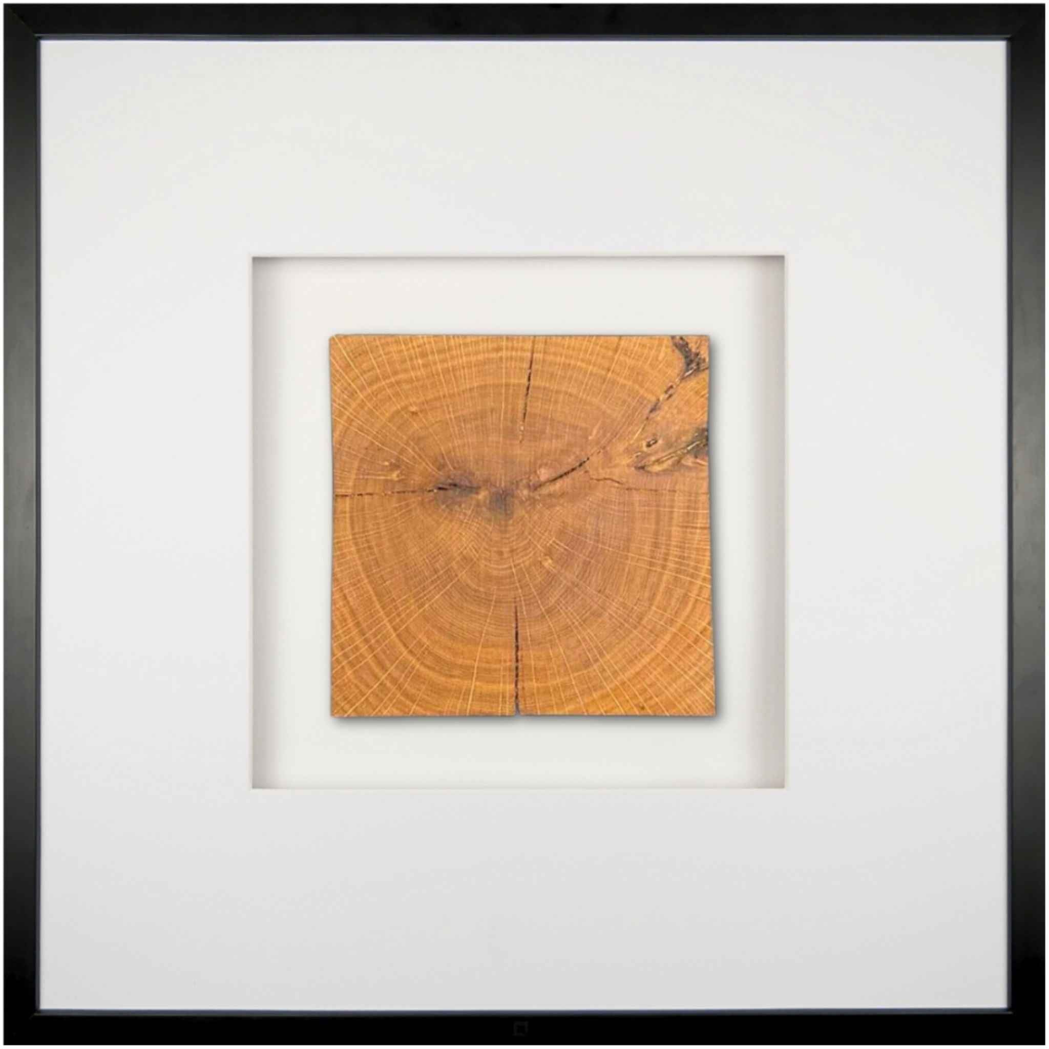 Quadratwerk Wandbild Noble Wood Quadrat 58cm - Rahmen Schwarz, Hintergrund Weiß, Passepartout Weiß/Weiß