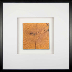 Quadratwerk Wandbild Noble Wood Quadrat 58cm - Rahmen Schwarz, Hintergrund Weiß, Passepartout Weiß/Weiß