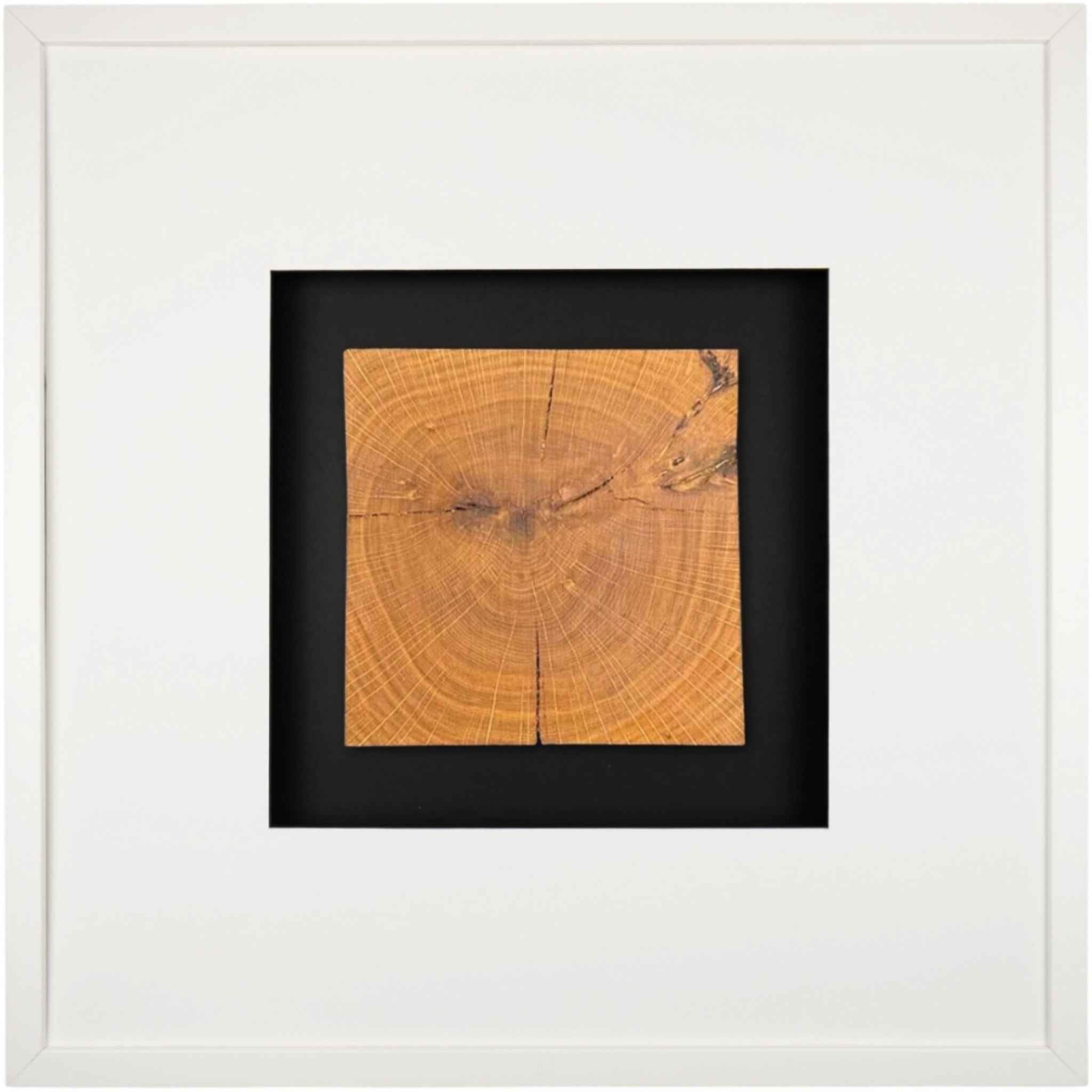 Quadratwerk Wandbild Noble Wood Quadrat 58cm - Rahmen Weiß, Hintergrund Schwarz, Passepartout Weiß/Schwarz