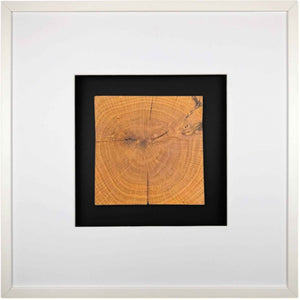 Quadratwerk Wandbild Noble Wood Quadrat 58cm - Rahmen Weiß, Hintergrund Schwarz, Passepartout Weiß/Weiß