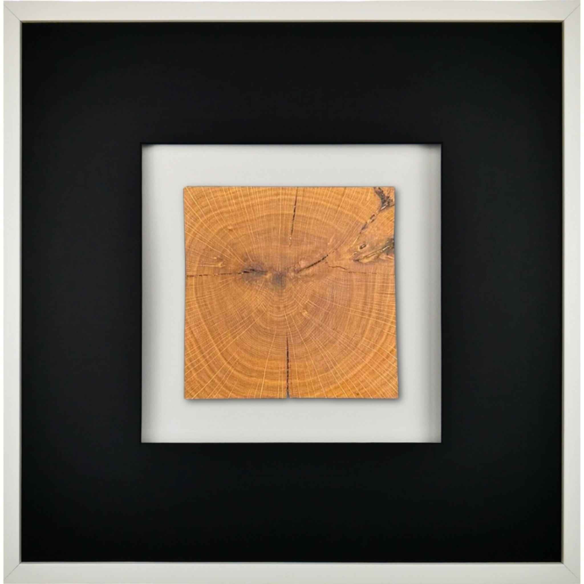 Quadratwerk Wandbild Noble Wood Quadrat 58cm - Rahmen Weiß, Hintergrund Weiß, Passepartout Schwarz/Schwarz