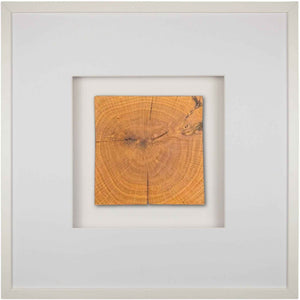Quadratwerk Wandbild Noble Wood Quadrat 58cm - Rahmen Weiß, Hintergrund Weiß, Passepartout Weiß/Weiß