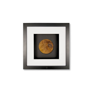 Quadratwerk Wandbild Noble Wood Rund 27cm - Rahmen Schwarz, Hintergrund Schwarz, Passepartout Weiß/Weiß