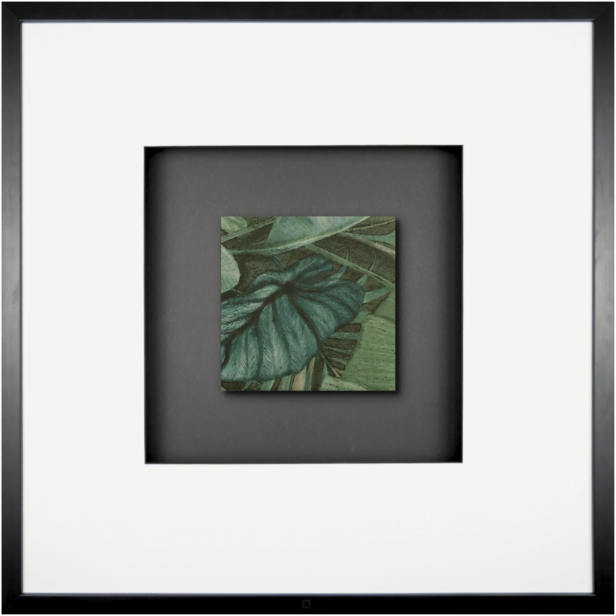 Quadratwerk Wandbild Signature Tile Eden 58m - Rahmen Schwarz, Hintergrund Schwarz, Passepartout Weiß/Schwarz