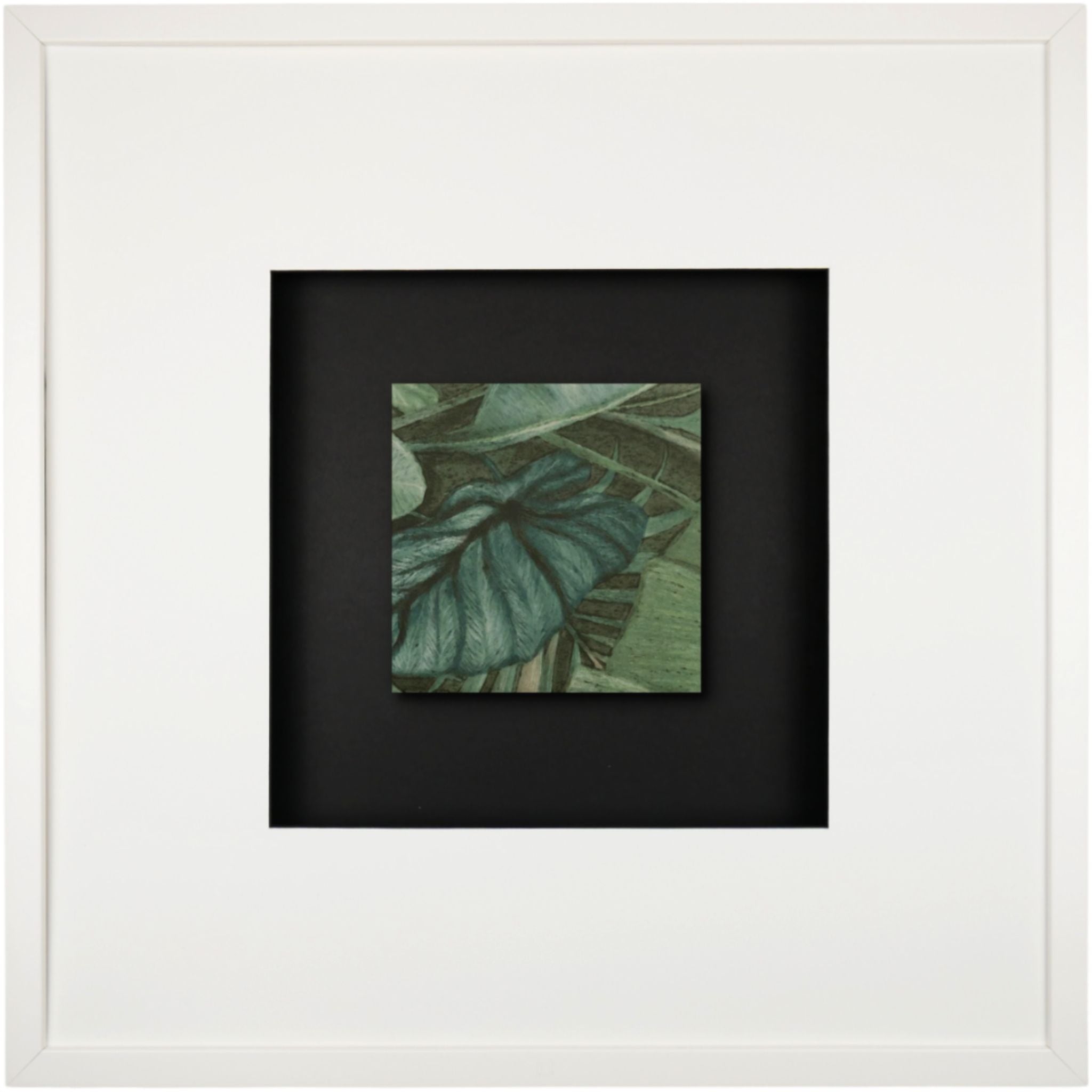 Quadratwerk Wandbild Signature Tile Eden 58m - Rahmen Weiß, Hintergrund Schwarz, Passepartout Weiß/Schwarz