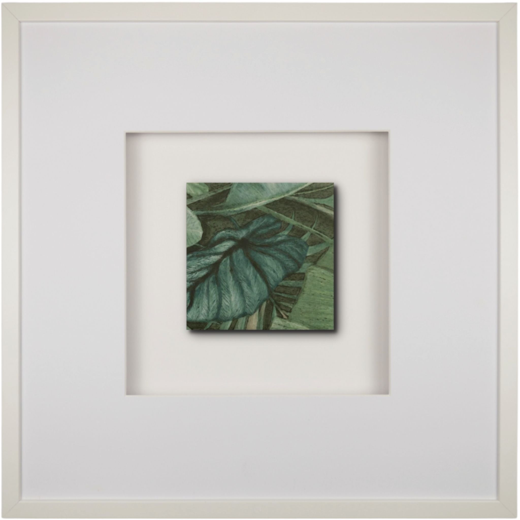 Quadratwerk Wandbild Signature Tile Eden 58m - Rahmen Weiß, Hintergrund Weiß, Passepartout Weiß/Weiß