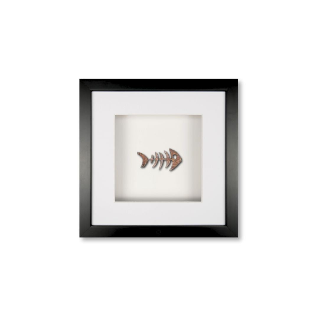 Quadratwerk Wandbild Detailaufnahme Urban Rust Fish 27cm - Rahmen Schwarz, Hintergrund Weiß, Passepartout Weiß/Weiß