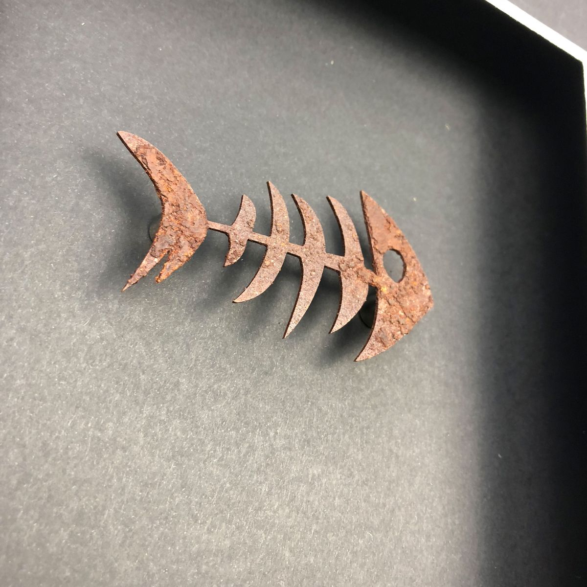 Quadratwerk Wandbild Detailaufnahme Urban Rust Fish 27cm - Rahmen Schwarz, Hintergrund Schwarz, Passepartout Schwarz/Weiß