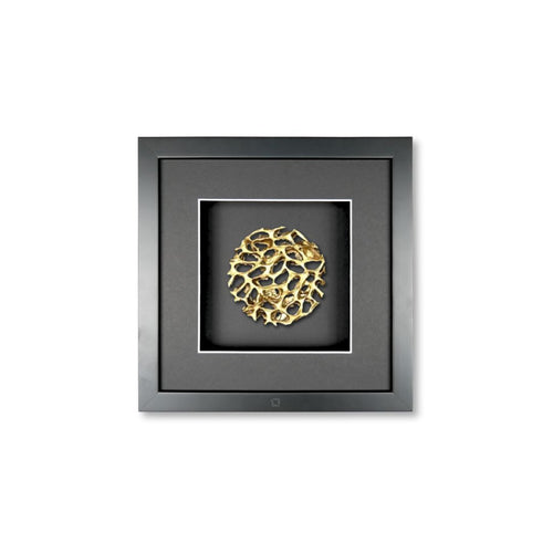 Schwarz / Schwarz / Schwarz / Weiß