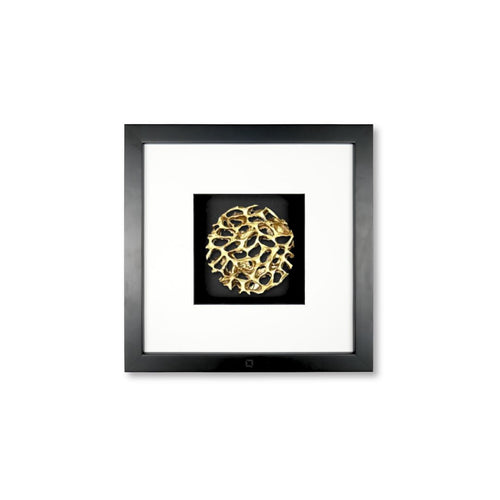 Schwarz / Schwarz / Weiß / Schwarz