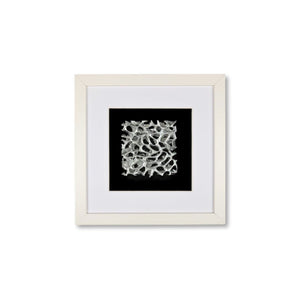 Quadratwerk Wandbild Magic Silver Quadrat 27cm - Rahmen Weiß, Hintergrund Schwarz, Passepartout Weiß/Weiß