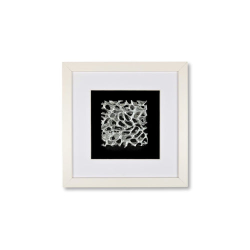 Weiß / Schwarz / Weiß / Weiß