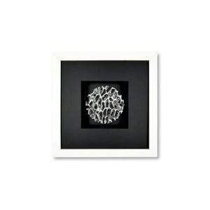 Quadratwerk Wandbild Magic Silver Rund 27cm - Rahmen Weiß, Hintergrund Schwarz, Passepartout Schwarz/Schwarz
