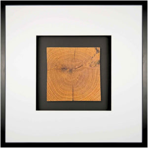 Quadratwerk Wandbild Noble Wood Quadrat 58cm - Rahmen Schwarz, Hintergrund Schwarz, Passepartout Weiß/Weiß