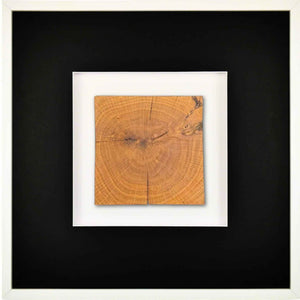 Quadratwerk Wandbild Noble Wood Quadrat 58cm - Rahmen Weiß, Hintergrund Weiß, Passepartout Schwarz/Weiß