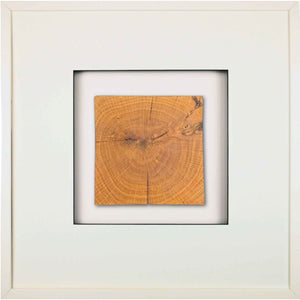 Quadratwerk Wandbild Noble Wood Quadrat 58cm - Rahmen Weiß, Hintergrund Weiß, Passepartout Weiß/Schwarz