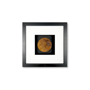 Quadratwerk Wandbild Noble Wood Rund 27cm - Rahmen Schwarz, Hintergrund Schwarz, Passepartout Weiß/Schwarz
