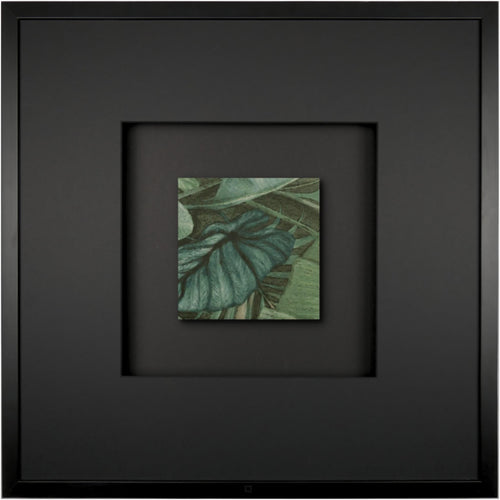 Schwarz / Schwarz / Schwarz / Schwarz