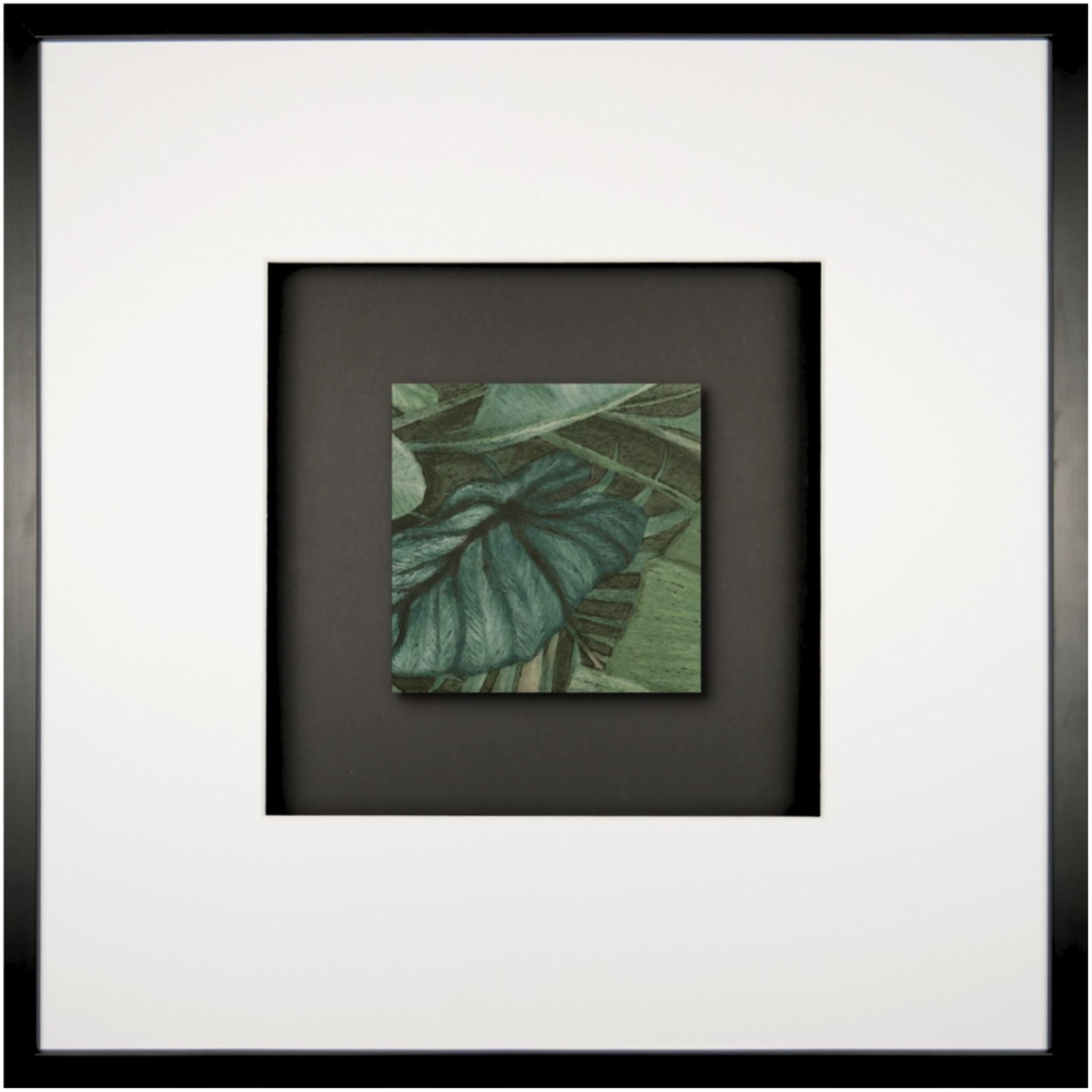 Quadratwerk Wandbild Signature Tile Eden 58m - Rahmen Schwarz, Hintergrund Schwarz, Passepartout Weiß/Weiß