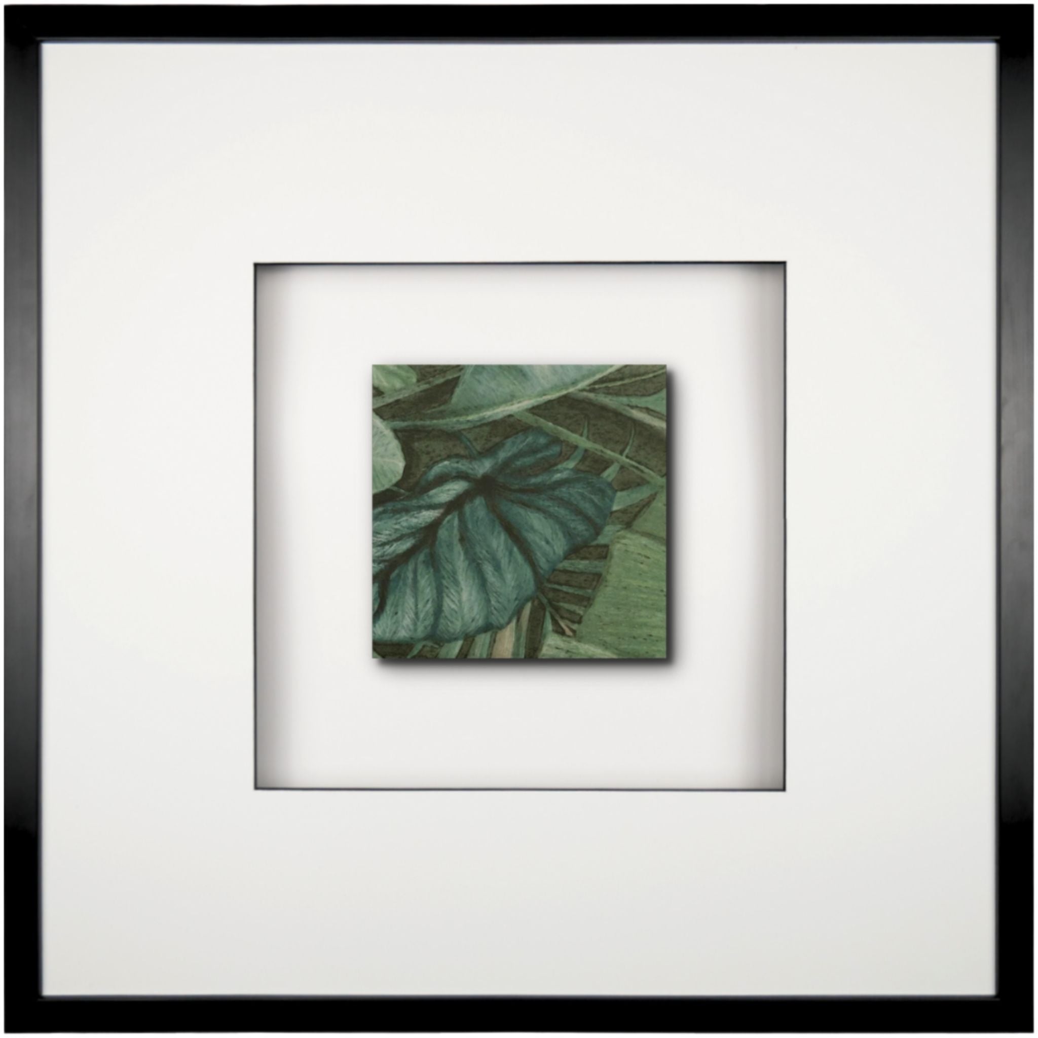 Quadratwerk Wandbild Signature Tile Eden 58m - Rahmen Schwarz, Hintergrund Weiß, Passepartout Weiß/Schwarz
