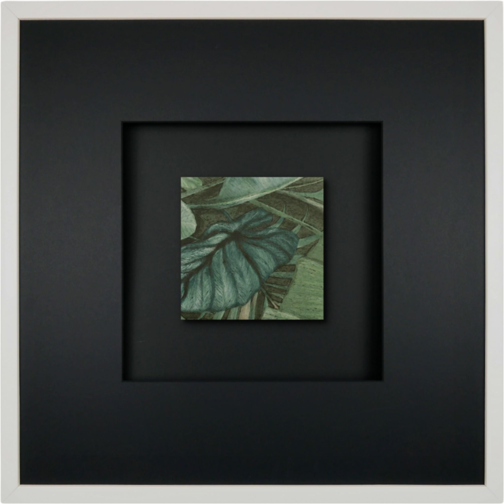 Quadratwerk Wandbild Signature Tile Eden 58m - Rahmen Weiß, Hintergrund Schwarz, Passepartout Schwarz/Schwarz