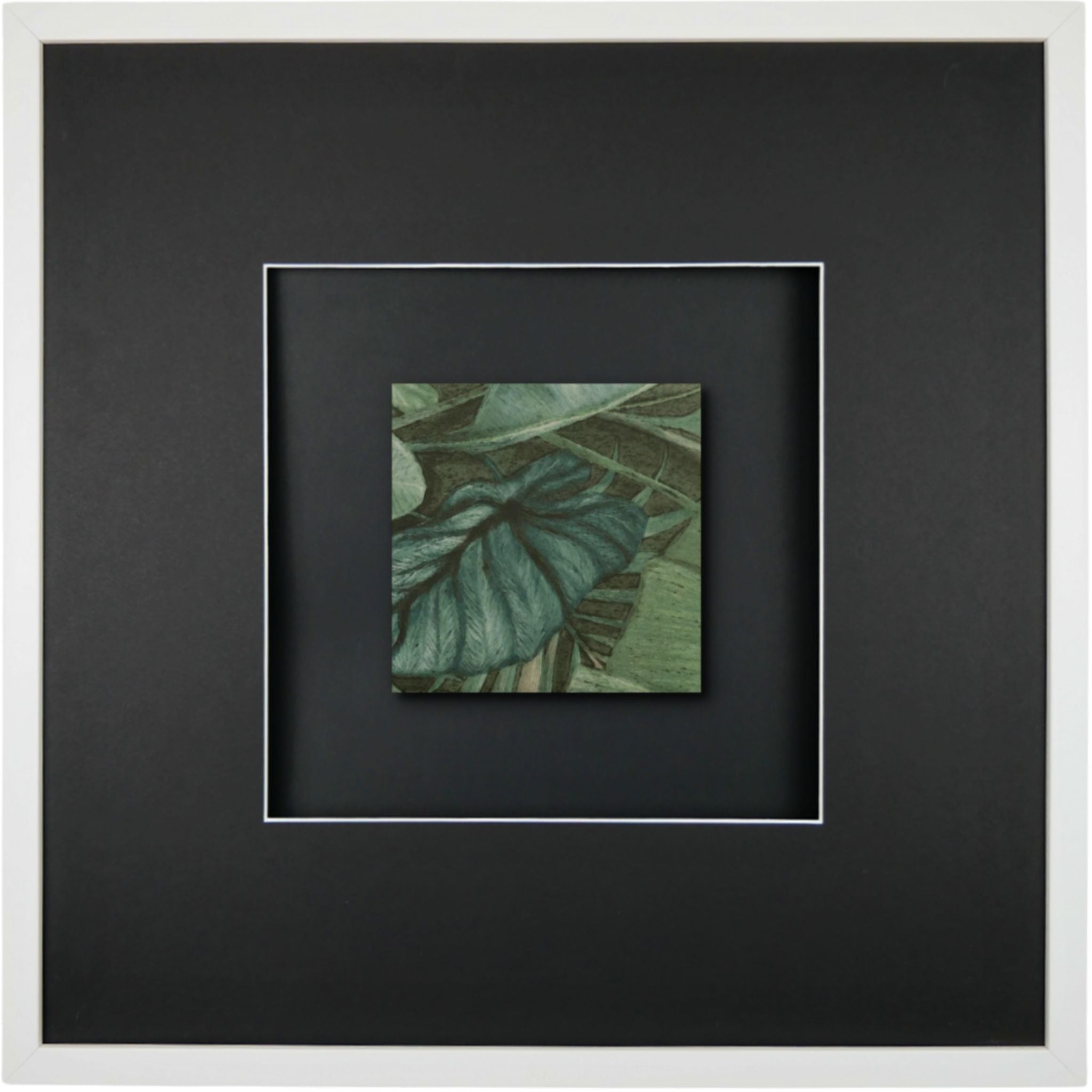 Quadratwerk Wandbild Signature Tile Eden 58m - Rahmen Weiß, Hintergrund Schwarz, Passepartout Schwarz/Weiß