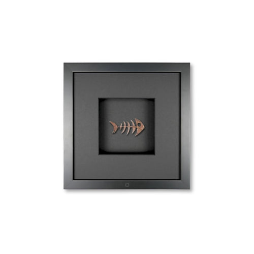 Schwarz / Schwarz / Schwarz / Schwarz