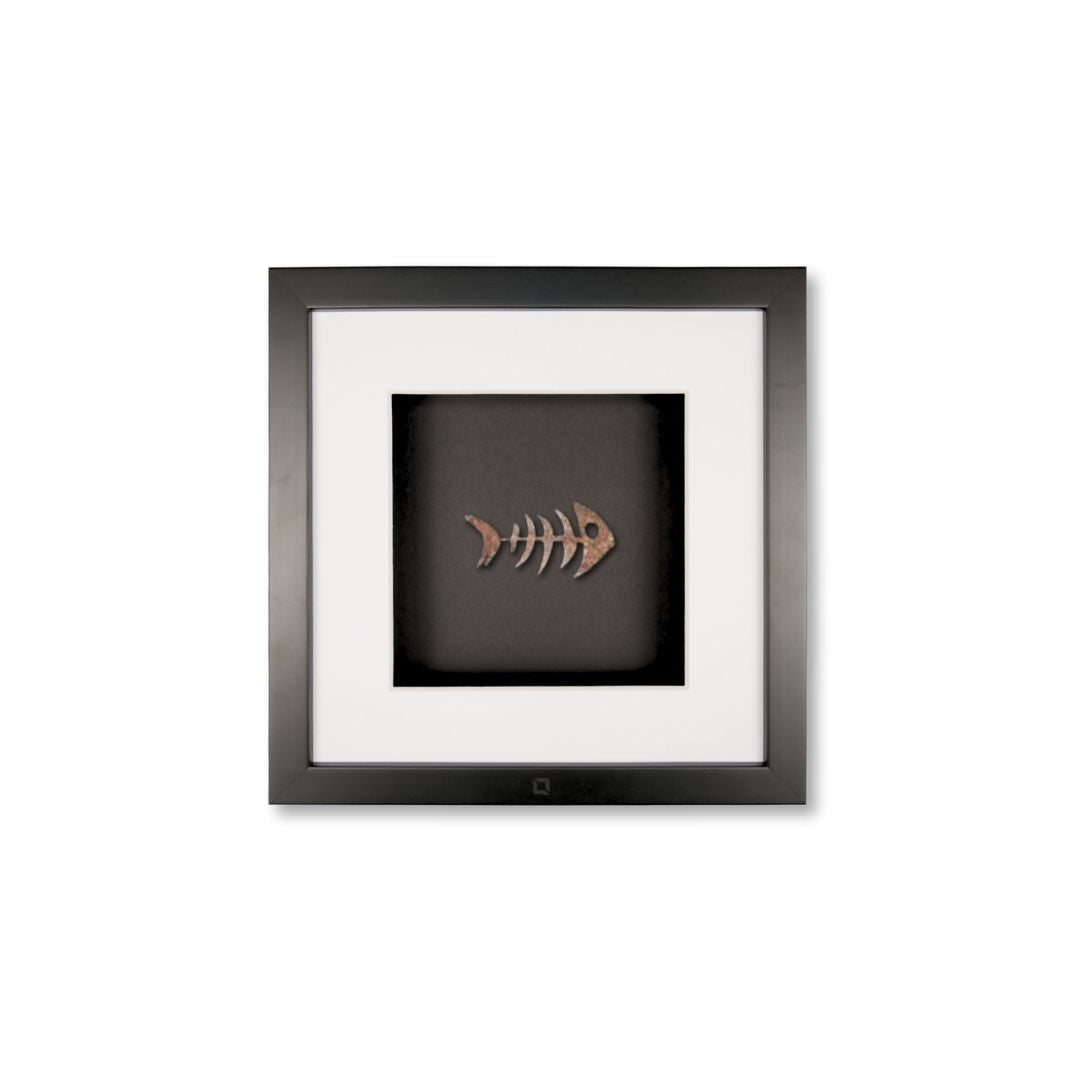 Quadratwerk Wandbild Detailaufnahme Urban Rust Fish 27cm - Rahmen Schwarz, Hintergrund Schwarz, Passepartout Weiß/Weiß
