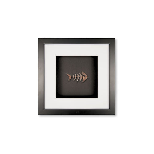 Schwarz / Schwarz / Weiß / Weiß