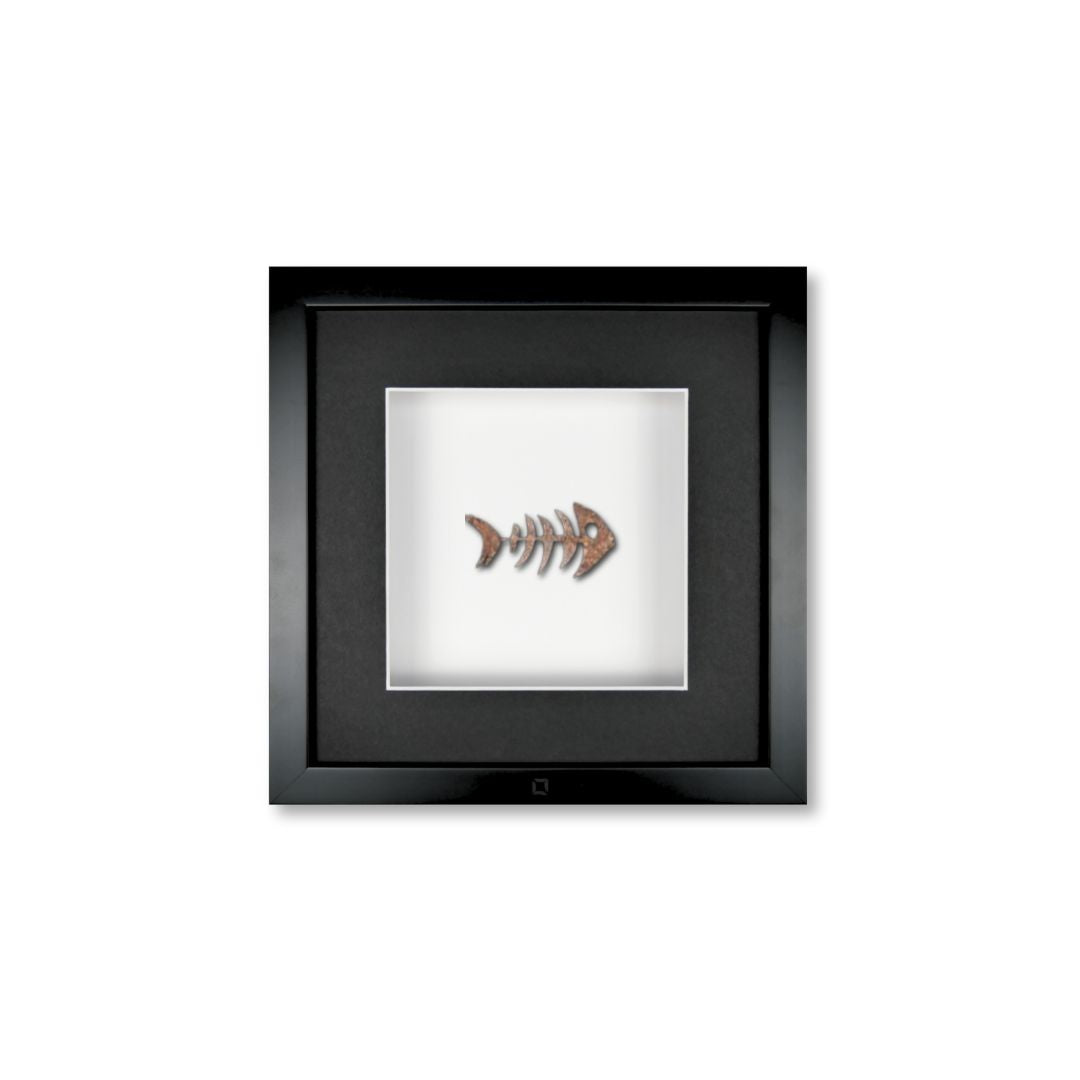 Quadratwerk Wandbild Detailaufnahme Urban Rust Fish 27cm - Rahmen Schwarz, Hintergrund Weiß, Passepartout Schwarz/Weiß