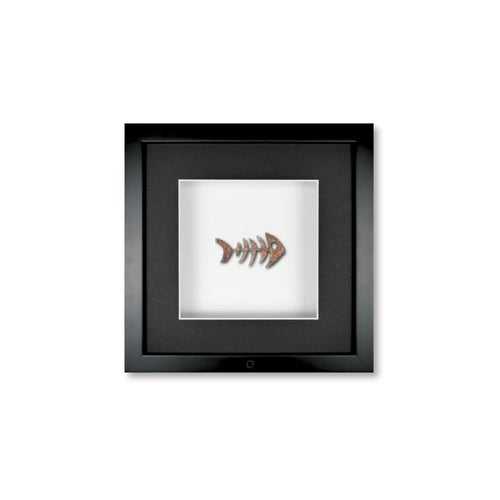 Schwarz / Weiß / Schwarz / Weiß